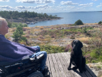 Hundkär personlig assistent sökes som sommarvikarie på Ekerö/Oxelösund
