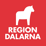 Ordningsvakt till Regionservice Dalarna, Mora